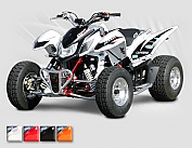 ACCESS Warrior 450 SuperMoto - Limited Edition